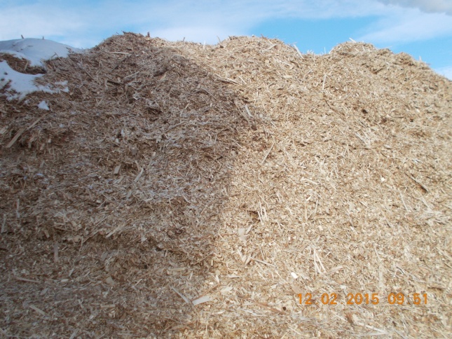 tocatura din lemn de plop